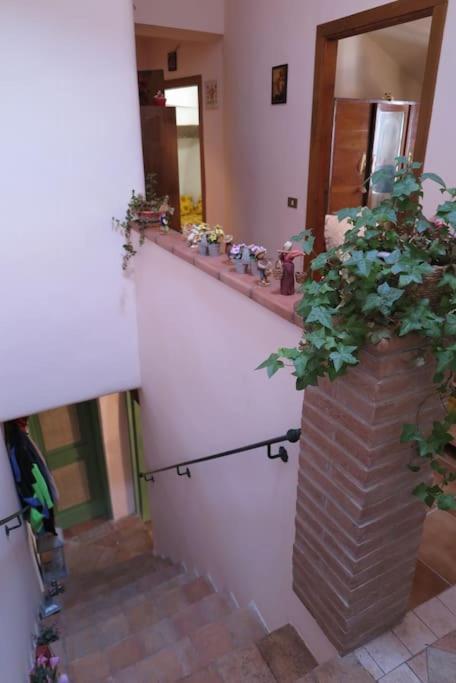 L'Oasi Di Pace Villa Pale Luaran gambar